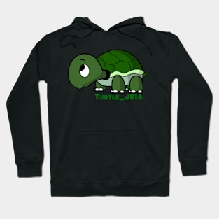 turtlejr16 Hoodie